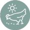 Sustainable Sourcing